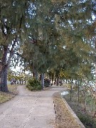 Sidewalk by the Beach in Saipan